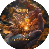 ضــي الشمال (@fl6fi6) Twitter profile photo