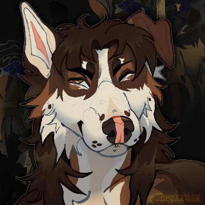 ✨ sam Profile