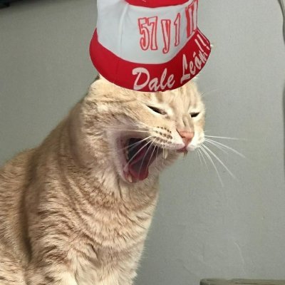 Soy un gato con un piluso pincha gritando TUDION, muy original.
Para los que preguntan: no, no soy un gato.