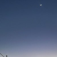 toe (@iamtoee) 's Twitter Profile