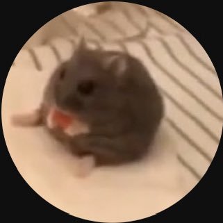 Yuhii_YT's profile picture. Hello! Yuhii_ here! I’m trying to collect all huge corgis on PS99! (and titanics, 18/29 huge corgis) YouTube: https://t.co/HwNLIhI3qS