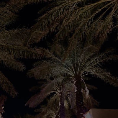 PharmD Student @_PNU_KSA| Part of Pharmacy Club @_PNU_KSA | @SPSSC_SA | @3qool_sa |