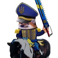 Kompromat Kommissar (@ki_flows) 's Twitter Profile
