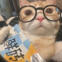bie ⚛️ (@blameon_bie) 's Twitter Profile