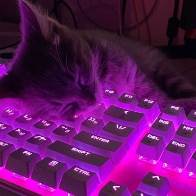 taiga_love2010's profile picture. 