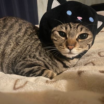 XyR9UqBwC5aqKxB's profile picture. 元看護師です。脳外科、神経内科、OPE室、訪問看護、ディサービス看護師やっていました。今は猫のチャンネルやってます。https://t.co/PzYkjx9TFQ