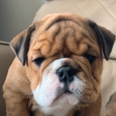doesntmatter442's profile picture. “The problem with socialism, is that you eventually run out of other people’s money”