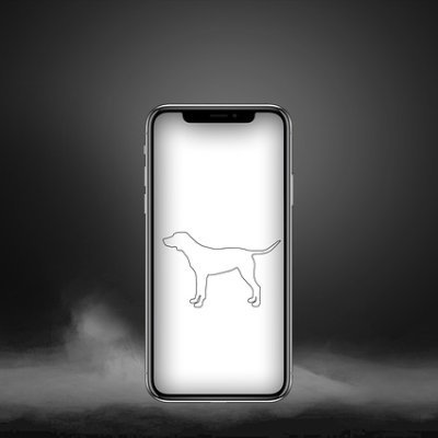 RogerBrickffMw's profile picture. 