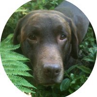 Part time Hermit. I'm generally a happy chap, with a love of the outdoors. Ancient history & Stoic philosophy enthusiast, who also likes to laugh at the absurd.