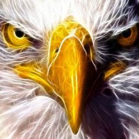Mr Yappers (@mryapperss) 's Twitter Profile