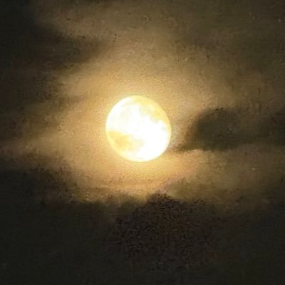 Praveen76685432's profile picture. you deserve more
get ur ass up