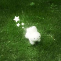 시루 (@sirudaru) 's Twitter Profile