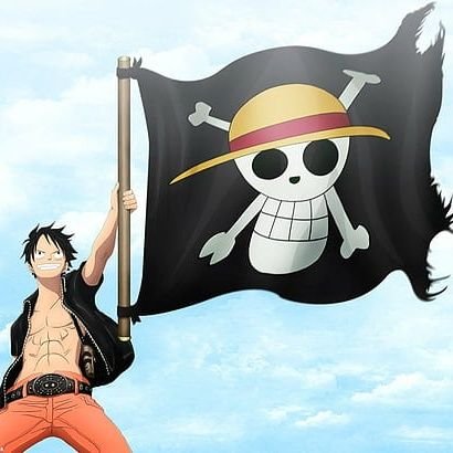 One Piece Profile