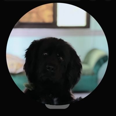 CRae_S's profile picture. Simple guy, dreaming big. On a mission to leave the trenches and level up. 💪