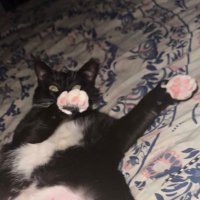 Marty Farty (@marswillexplode) 's Twitter Profile