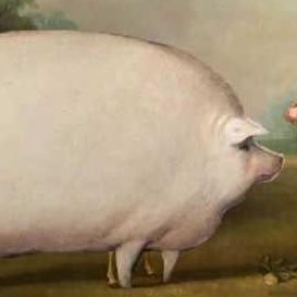 MangomGomez's profile picture. I really don't tweet. So. Why do I have a Twitter? I really don't know.