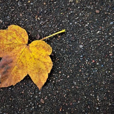 AldenKarleeKFDq's profile picture. @SweetChloe
@BV21QI6k1
@HommelJ78627
@WanlandL72564
@Jenny_Brunoo
@lucasbe28863274
@AimeeHodgesWalk
@LeonorNelson6s
@SandraCordova73
@MccormickB68136