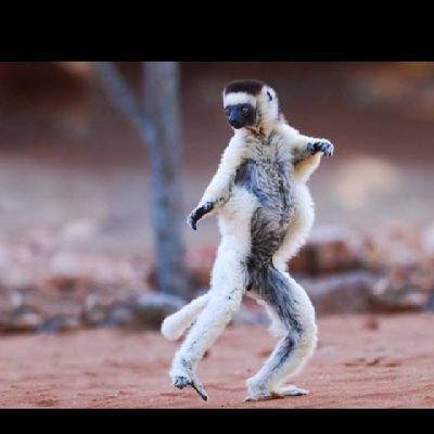 jzzy_tweet's profile picture. Mtcheeeeeew ...160? not enough space for you to know about me.....