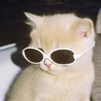 호로롱 (@ddow_1623) 's Twitter Profile