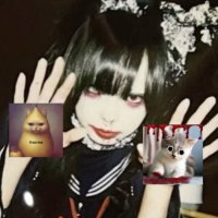 happy and peaceful paripear🐛🍐 (@koufukuchuudoku) 's Twitter Profile