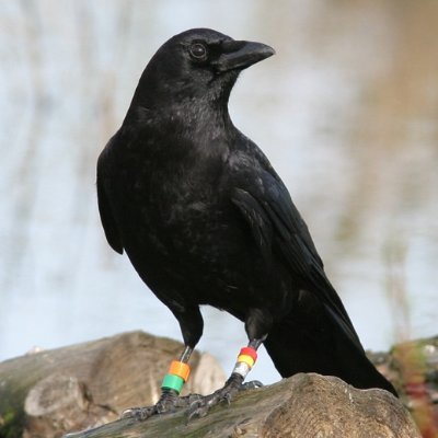 ItzelSeattle's profile picture. journo  ฅ(^◕ᴥ◕^)ฅ