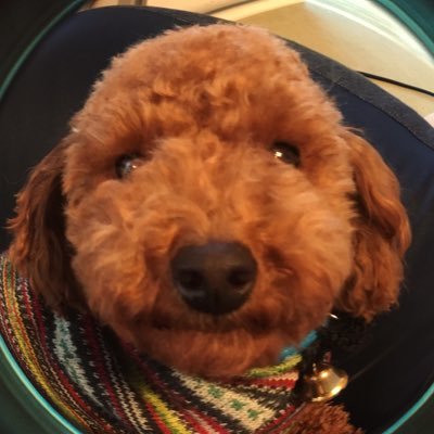 優雅なリタイヤ生活を目指して資産倍増計画中。ここで公開している資産とは別に会社の持ち株等で、約4千万円程あるので、残り6千万円程を金融資産で育てるぞ!達成したらFire予定^_^ 毎月新ニーサに30万フル投資中。