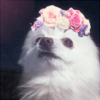 πππππ ππππ
π (@yfinery345) 's Twitter Profile