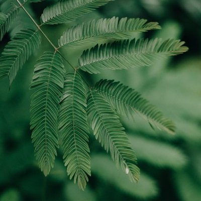 haticeozdemiv14's profile picture. Başarı özgürlük ışık