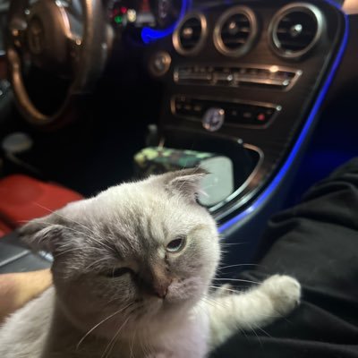 Foli57i's profile picture. 