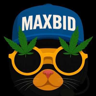 MaxBid Gains π Profile