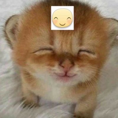 pure_nuabo's profile picture. overwatch/ rants