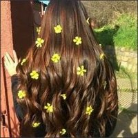 BambiPetal (@g9vw2d49u4x9d) 's Twitter Profile