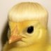 Mikhail (@menes67847004) Twitter profile photo Mikhail (@menes67847004) Twitter profile photo
