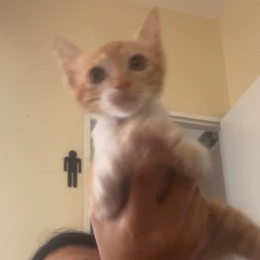 M1ND123's profile picture. หม่าม้าเติร์ดเติร์ด