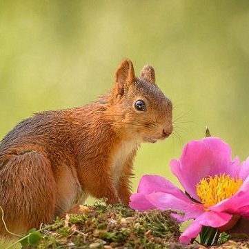 Be thankful for what you have, you'll end up having more.