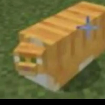 SeljeKaden2007's profile picture. 