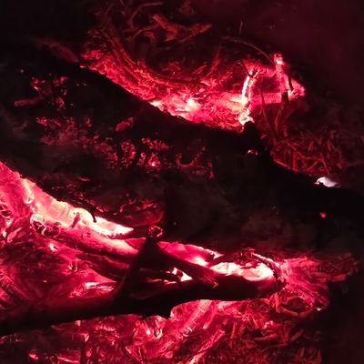 ShyarKiKalm's profile picture. 🌎 शायरी मेरी दुनिया