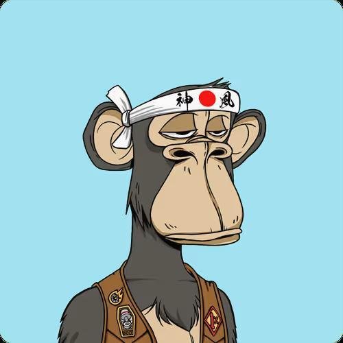 MikeBro48735534's profile picture. A bundle of awkwardness.