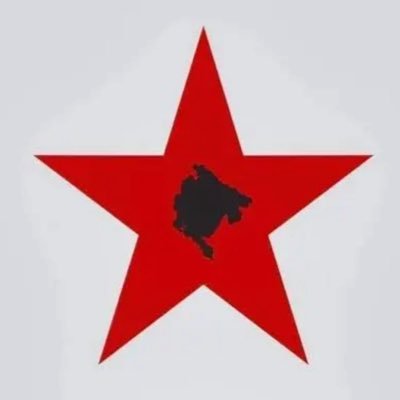 PartizanskiT's profile picture. SF/SN