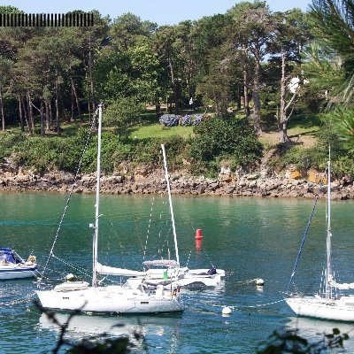 MarcDrieux's profile picture. 