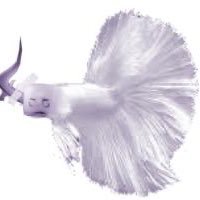ILOVEILLUMINAILOVEILLUMINAILOVEILLUMINAILOVEILLUMINAOOOVEILLUMINAILOVEILLUMINAILOVEILLUMINAILOVEILLUMINAILOVEILLUMINAILOVEILLUMINAILOVEILLUMINAILOVEILLUMINAILOV