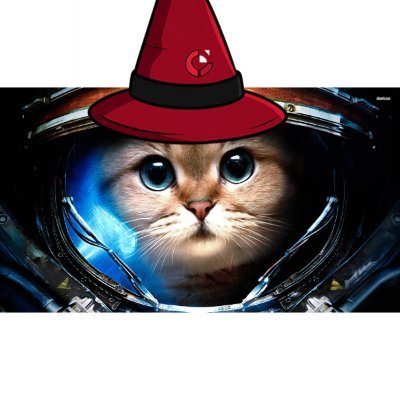 @thespacecatjr