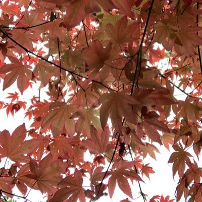 akvweg's profile picture. No longer active. ✌️