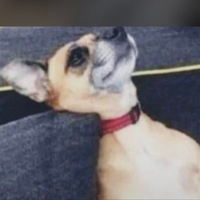 Web3werey's profile picture. POUR ME WATER GUYY