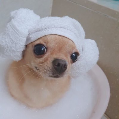Dongsu_ow Profile