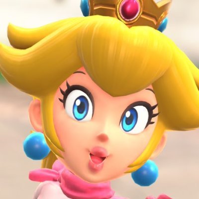 He/Him | 25 | Autistic | Average player in the Perth Smash scene | Daisy/Aegis main | Daisy simp | I still love Xenoblade please trust me