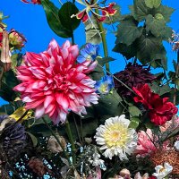 Dahlia (@mayuyu506) 's Twitter Profile Photo