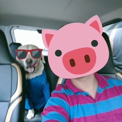 Falana_Dimka's profile picture. Shitposting | One-liners | Rants |