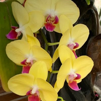 PG160598_1's profile picture. Liberdade Econômica, sucesso de empreendedores!