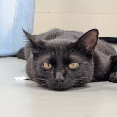 Daimuroid8393's profile picture. 01/三重大学院生物資源/ディアボロ
いつも心にエレガント